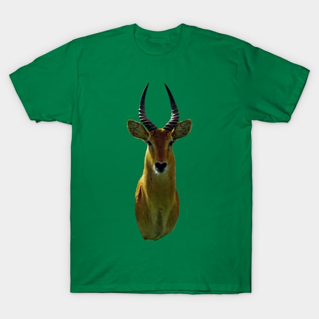 Antelope An Animal Portrait T-Shirt by ellenhenryart